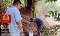 Phát hiện trang trại nuôi lợn xả nước thải ra suối