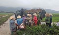 Bão số 4 suy yếu, miền Trung gia tăng nắng nóng