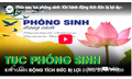 Phía sau tục phóng sinh: Khi hành động tích đức bị lợi dụng làm 'vỏ bọc' cho vi phạm