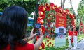Phố Kim Mã thành điểm check-in rực rỡ dịp Quốc khánh