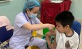 Hải Phòng tăng tốc làm sạch, chuẩn hóa dữ liệu tiêm chủng trước 30/9