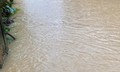 Nam Bộ hứng đợt mưa lớn đến 400mm từ ngày mai, 12 tỉnh thành ứng phó