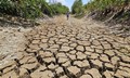 Các kịch bản của El Nino tác động rất mạnh đến nước ta