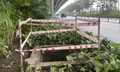 Hà Nội: Nhiều hố ga mất nắp trên đường Phạm Văn Đồng 