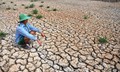 Siêu El Nino quay lại có thể khiến hàng trăm nghìn người chết?

