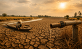 Chuyên gia cảnh báo siêu El Nino chưa từng ghi nhận