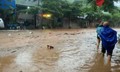 Gió mùa Đông Bắc đầu mùa sắp ảnh hưởng miền Bắc, miền Trung có thể mưa lớn
