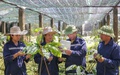 Định hình con đường dược liệu Việt: Tư duy chiến lược của Anh hùng Lao động Thái Hương