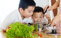 Gợi ý thực đơn thanh mát nhưng vẫn đủ dinh dưỡng cho trẻ vào ngày hè