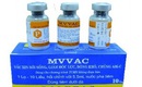 Việt Nam xuất khẩu vaccine sởi