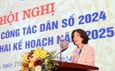 Những l&#253; do khiến c&#244;ng t&#225;c d&#226;n số năm 2024 chỉ ho&#224;n th&#224;nh 1/3 chỉ ti&#234;u được giao