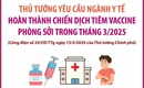 Ng&#224;nh y tế ho&#224;n th&#224;nh chiến dịch ti&#234;m vaccine ph&#242;ng sởi trong th&#225;ng 3/2025