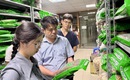 Bộ Y tế lập 15 tổ kiểm tra về dược, mỹ phẩm, y dược cổ truyền, sữa, thực phẩm, thiết bị y tế