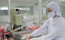 Bộ Y tế quy định mới nhất tr&#236;nh tự đ&#225;nh gi&#225; thực h&#224;nh tốt sản xuất thuốc, nguy&#234;n liệu l&#224;m thuốc
