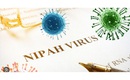Bộ Y tế yêu cầu khoanh vùng, xử lý triệt để nếu xuất hiện ca bệnh do virus Nipah
