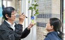 Sốt xuất huyết ở Đà Nẵng tăng 2,4 lần, ngành y tế đang giám sát chặt