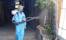 Hà Tĩnh khống chế thành công ổ dịch sốt xuất huyết Dengue