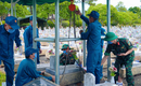 Tổ chức lấy mẫu ADN hơn 2 nghìn ngôi mộ liệt sĩ tại Quảng Trị