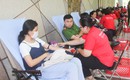 Sắc đỏ Tây Đô 'Kết nối dòng máu Việt'