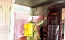 Xuất hiện thêm ổ dịch sốt xuất huyết ở Hà Tĩnh