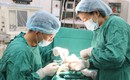 Ca đứt gân khó được xử lý thành công tại tuyến cơ sở