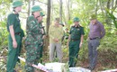 Khảo sát, xác minh thông tin mộ liệt sĩ tập thể tại Bắc đèo Hải Vân