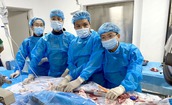 Bệnh viện Hữu nghị Đa khoa Nghệ An triển khai thường quy kỹ thuật đặt Stent Graft