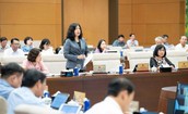 Bộ trưởng Đ&#224;o Hồng Lan tr&#236;nh UBTVQH 4 ch&#237;nh s&#225;ch mới của dự &#225;n Luật D&#226;n số