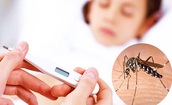 L&#226;m Đồng ghi nhận gần 7.000 ca sốt xuất huyết Dengue, 3 người tử vong