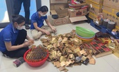 Đẩy nhanh tiến độ điều tra, sớm đưa ra kết luận về vụ việc sản xuất, buôn bán thuốc giả, thực phẩm bảo vệ sức khỏe
