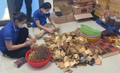 Bộ Y tế đ&#227; c&#243; nhiều văn bản đề nghị Thanh Ho&#225; tăng cường thanh, kiểm tra gi&#225;m s&#225;t chất lượng, ph&#242;ng chống thuốc giả