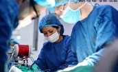 Hưởng ứng Ng&#224;y Quốc tế Điều dưỡng tại Việt Nam: Từ t&#244;n vinh đến th&#250;c đẩy cơ chế, ch&#237;nh s&#225;ch nghề nghiệp