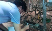 Số ca mắc sốt xuất huyết ở Đồng Nai bất ngờ tăng vọt