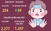 H&#224; Nội: 254 ca mắc tay ch&#226;n miệng trong một tuần