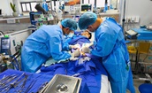 Nam thanh ni&#234;n nguy kịch từ triệu chứng sốt cao, đau &#226;m ỉ v&#249;ng thượng vị