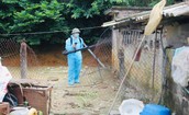 Hai ca mắc vi&#234;m n&#227;o Nhật Bản B ở Quảng Ninh đều c&#243; triệu chứng sốt, đau đầu
