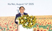 Triển khai c&#243; hiệu quả c&#225;c chương tr&#236;nh n&#226;ng cao tr&#237; lực, thể lực, tầm v&#243;c người Việt Nam