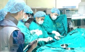 Thanh Hóa: Can thiệp thành công ca tim mạch phức tạp, cứu sống bệnh nhân cao tuổi