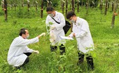 Những người đi trước hiểm họa...