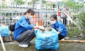 Xây dựng bệnh viện xanh - sạch - đẹp từ những việc làm giản dị nhất