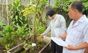 Diễn biến mới dịch sốt xuất huyết tại Thanh Hoá