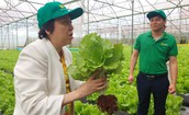 637 người ngộ độc thực phẩm trong 9 tháng, TPHCM siết kiểm soát từ nguồn cung