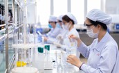 Việt Nam phấn đấu tự chủ 20% nhu cầu nguyên liệu làm thuốc vào năm 2030