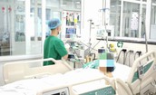 Đã có gần 32.000 ca mắc sốt xuất huyết, dự báo tiếp tục gia tăng