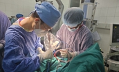 Bé trai nhập viện cấp cứu khẩn do bị dao cắm vào đầu trong lúc chơi đùa