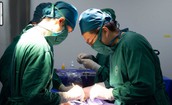Ngã từ tầng 3, bé trai 7 tuổi nguy kịch vì vỡ lách