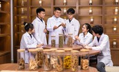 Triển khai kế hoạch phát triển y học cổ truyền theo kết luận của Tổng Bí thư, Chủ tịch nước Tô Lâm