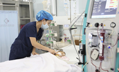 Cứu sống bé trai 15 tháng tuổi nguy kịch sau khi bị ong vò vẽ đốt 60 nốt trên cơ thể