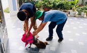 Y tế cơ sở tăng cường tuyên truyền phòng bệnh dại tại cộng đồng