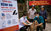 Bệnh dại ở Lâm Đồng diễn biến phức tạp, một con chó nghi dại cắn 5 người